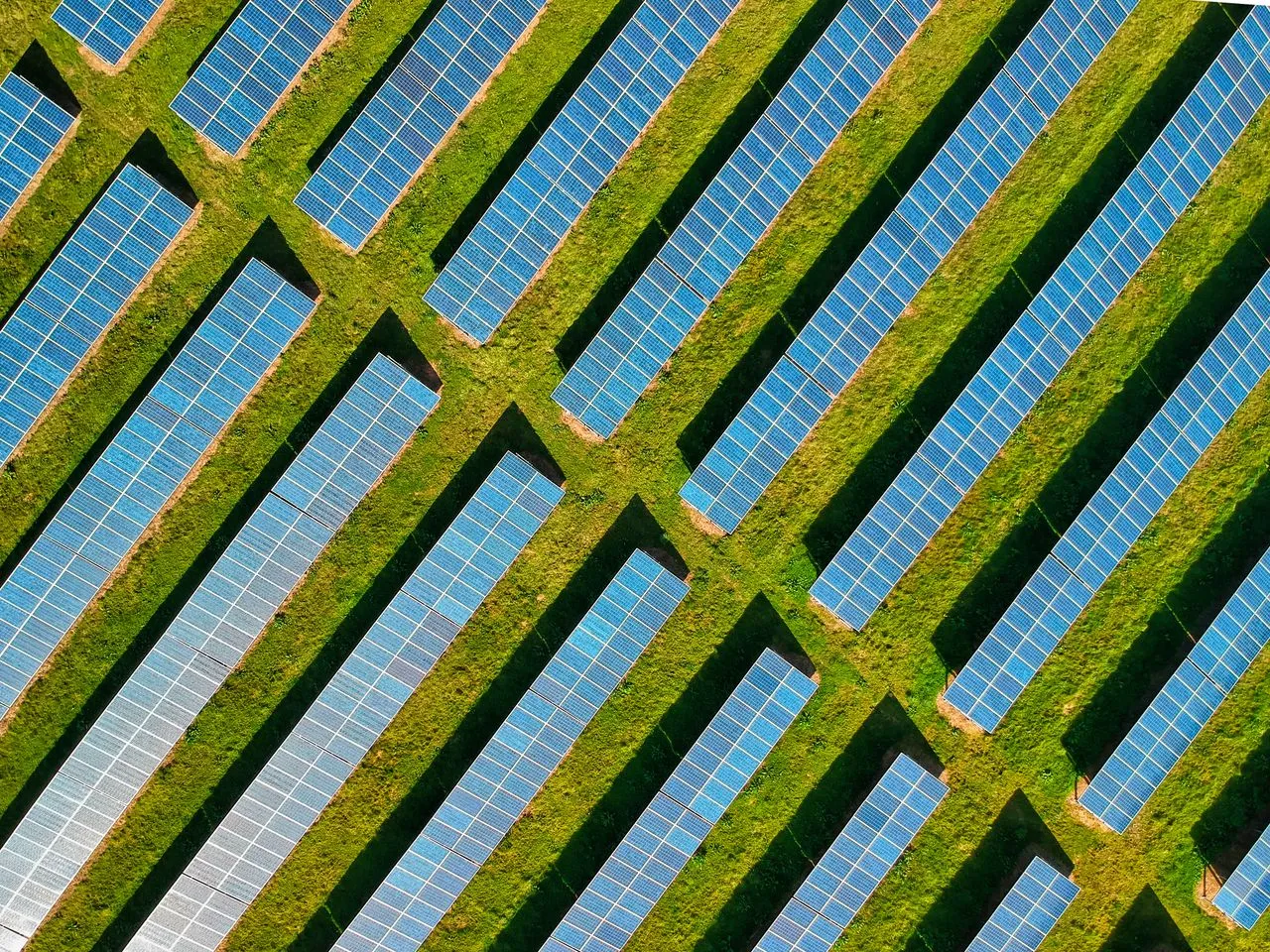 Vista aèria d'un parc solar instal·lat en un camp agrícola amb rengleres de plaques fotovoltaiques.